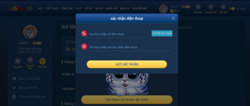 Những Lưu Ý Quan Trọng Khi Rút Tiền ST666 Bạn Cần Nhớ