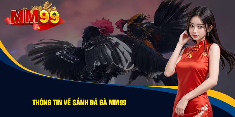 sanh-cuoc-da-ga-kich-tinh-hang-dau